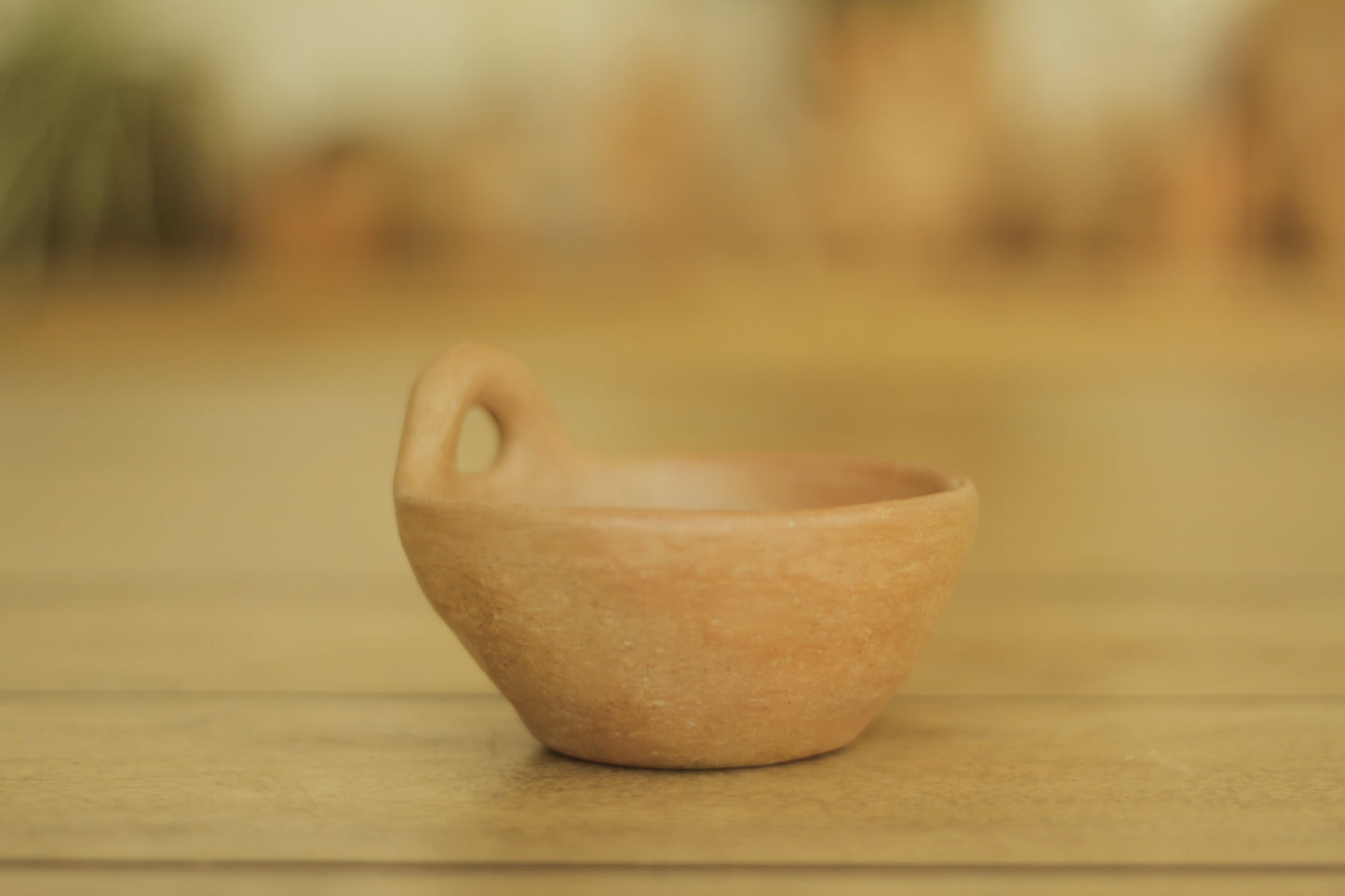 Mixe Machacados