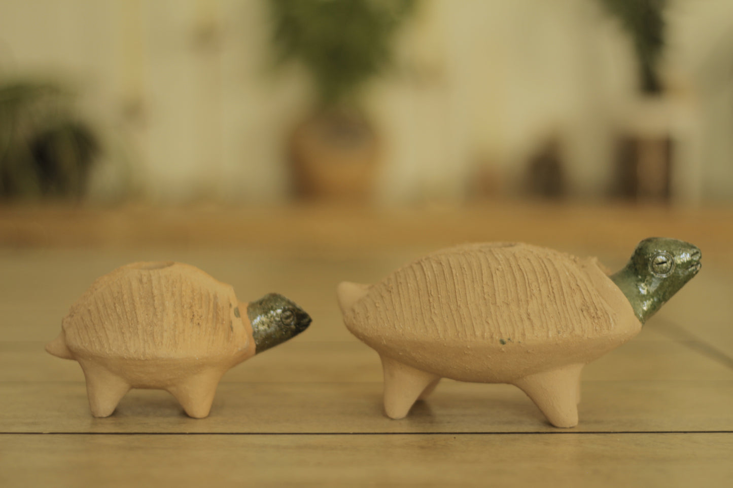 Chia Turtle | Medium