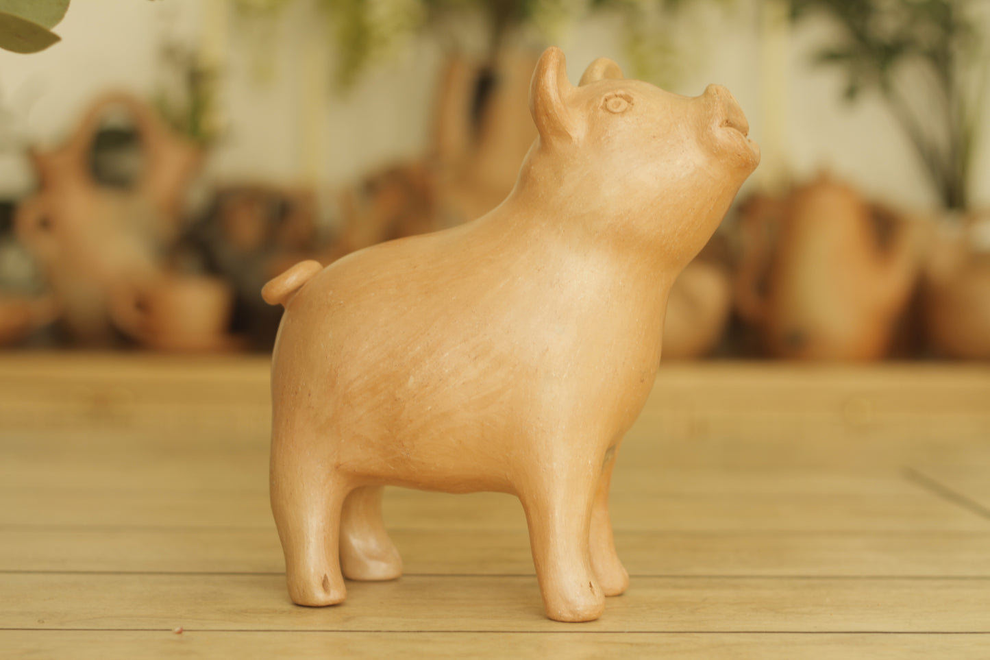 Mixe Standing Piggy