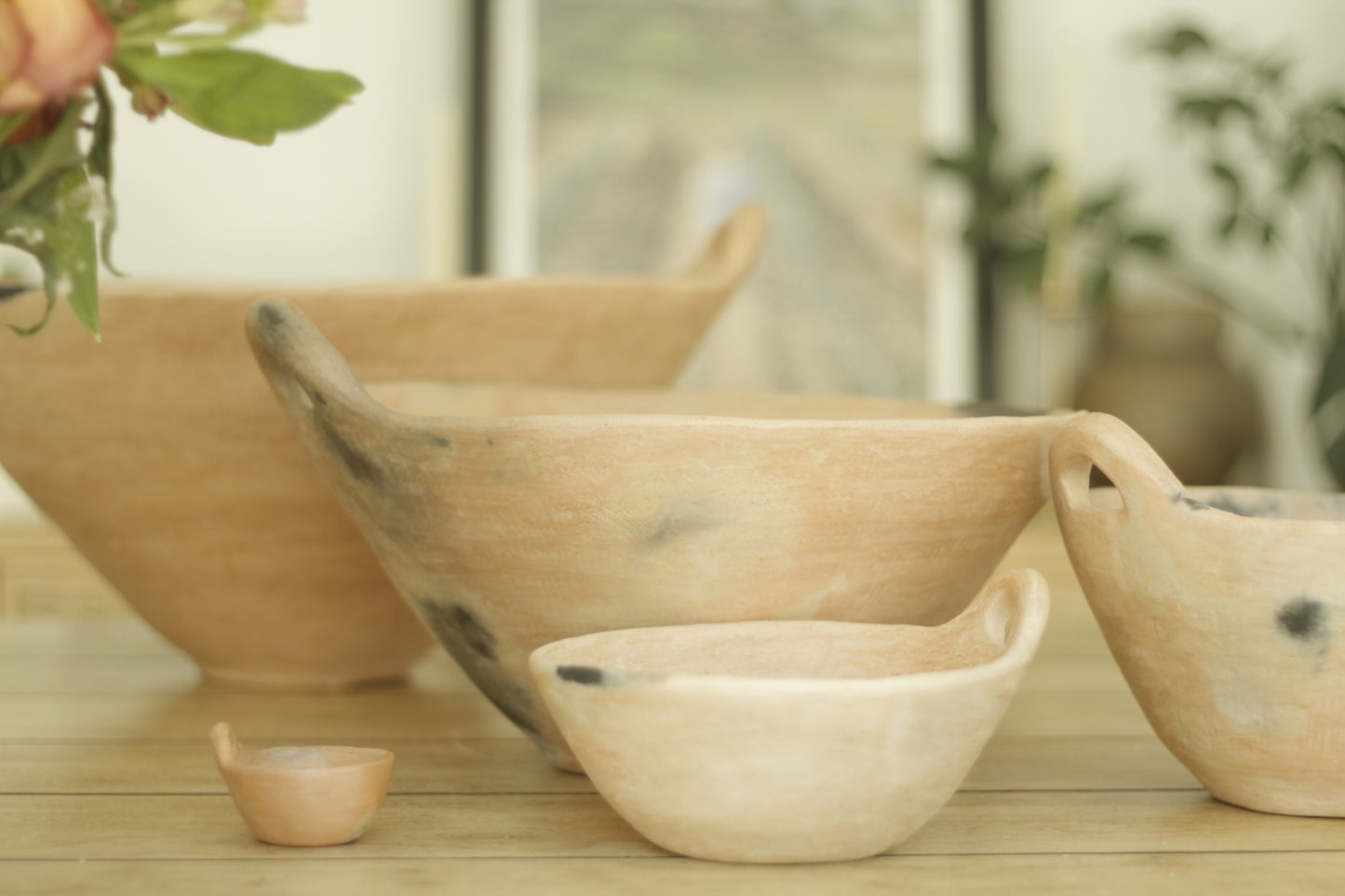 Mixe Machacado Bowls