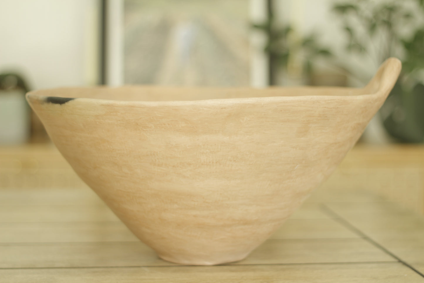 Mixe Machacado Bowls