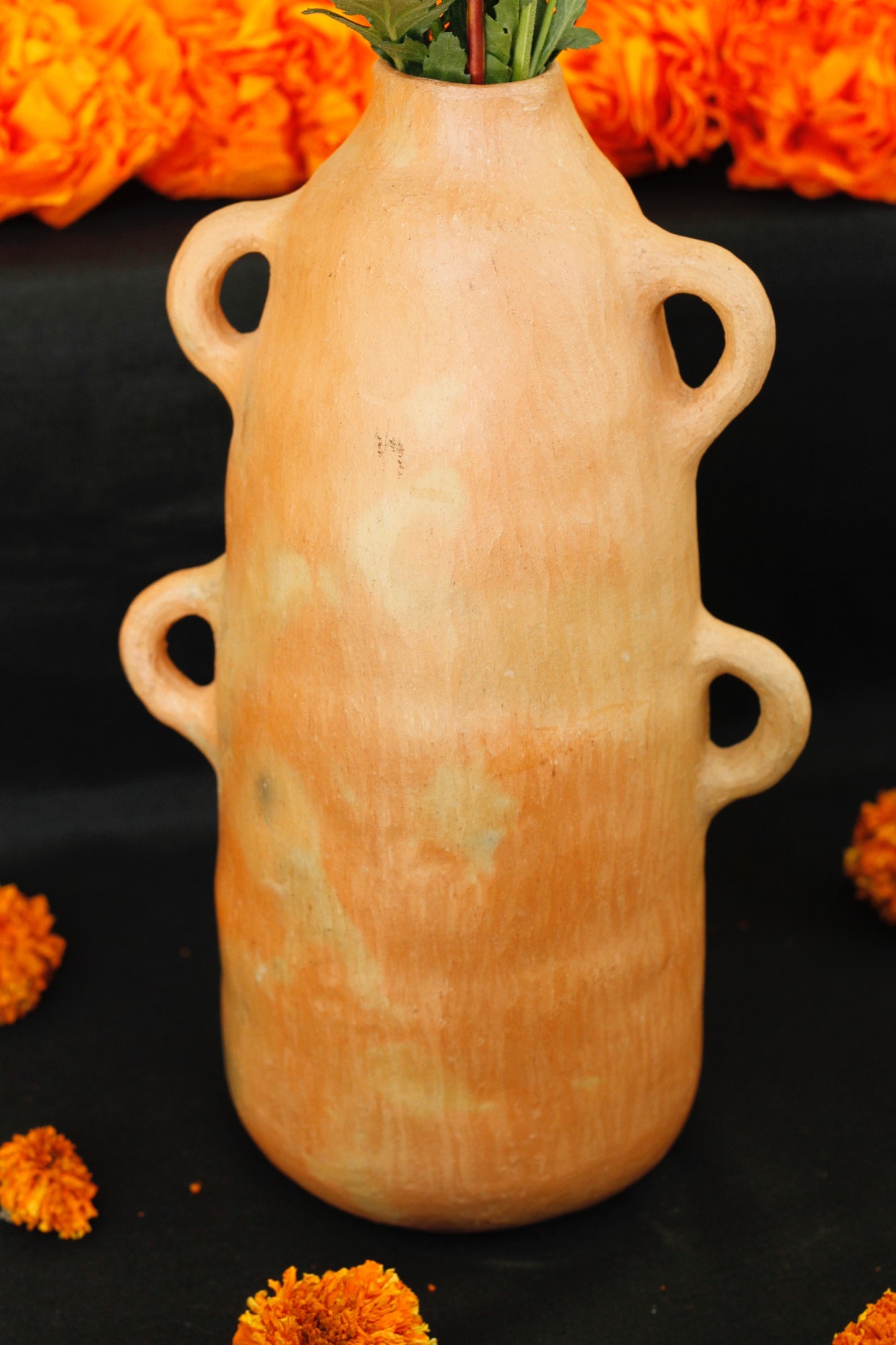 Mixe Clay Vase 4 handles