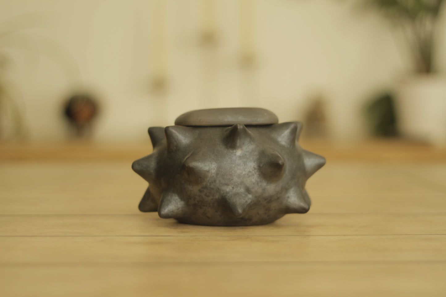Pochote Globe w/ Lid