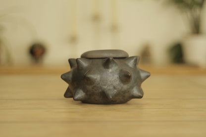 Pochote Globe w/ Lid
