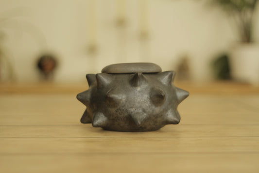Pochote Globe w/ Lid