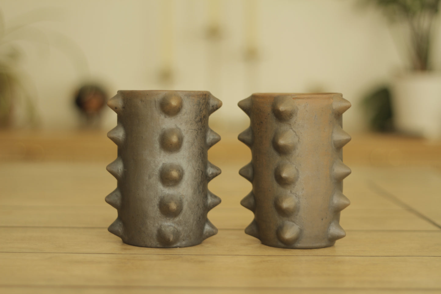 Pochote Vessel