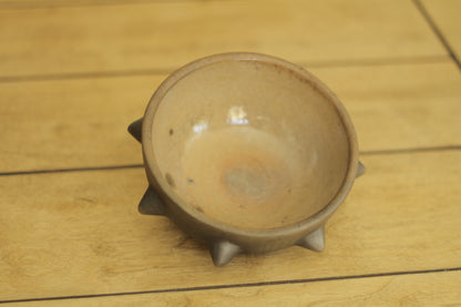 Pochote Bowl