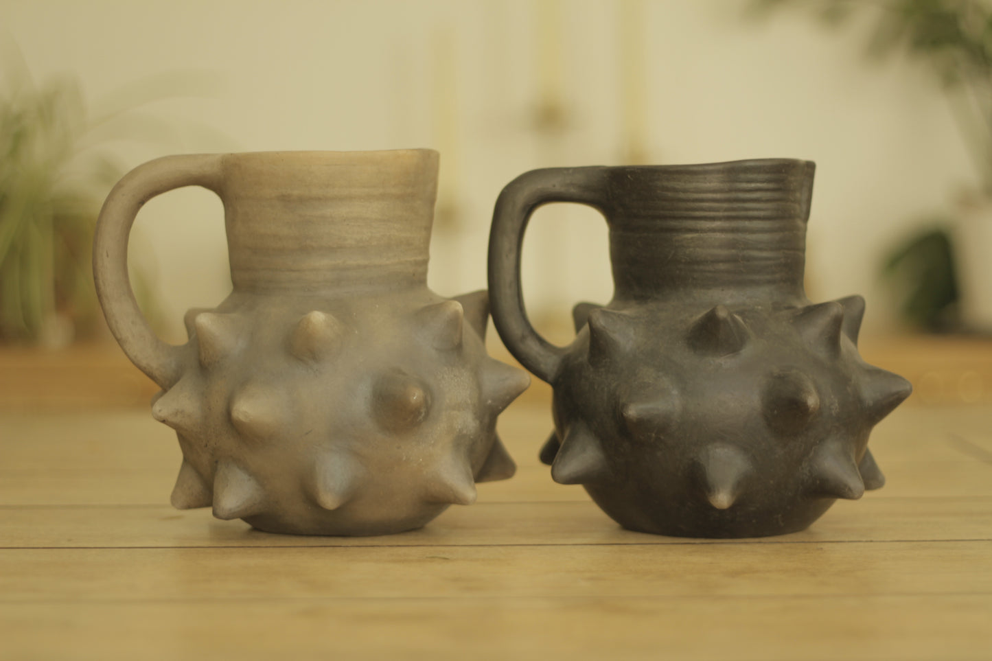Pochote Pitcher