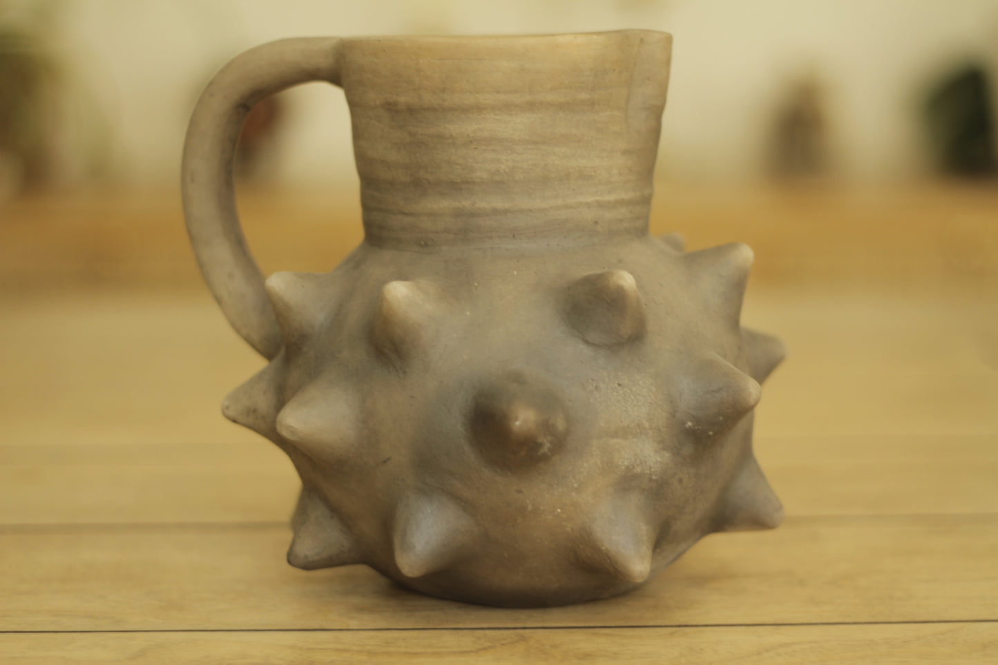 Pochote Pitcher