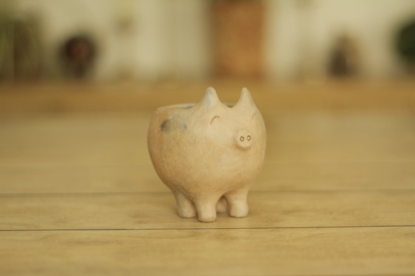 Mixe Piggy Bowl