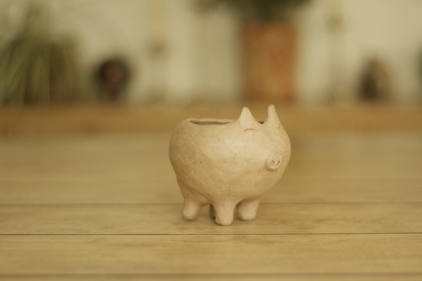 Mixe Piggy Bowl