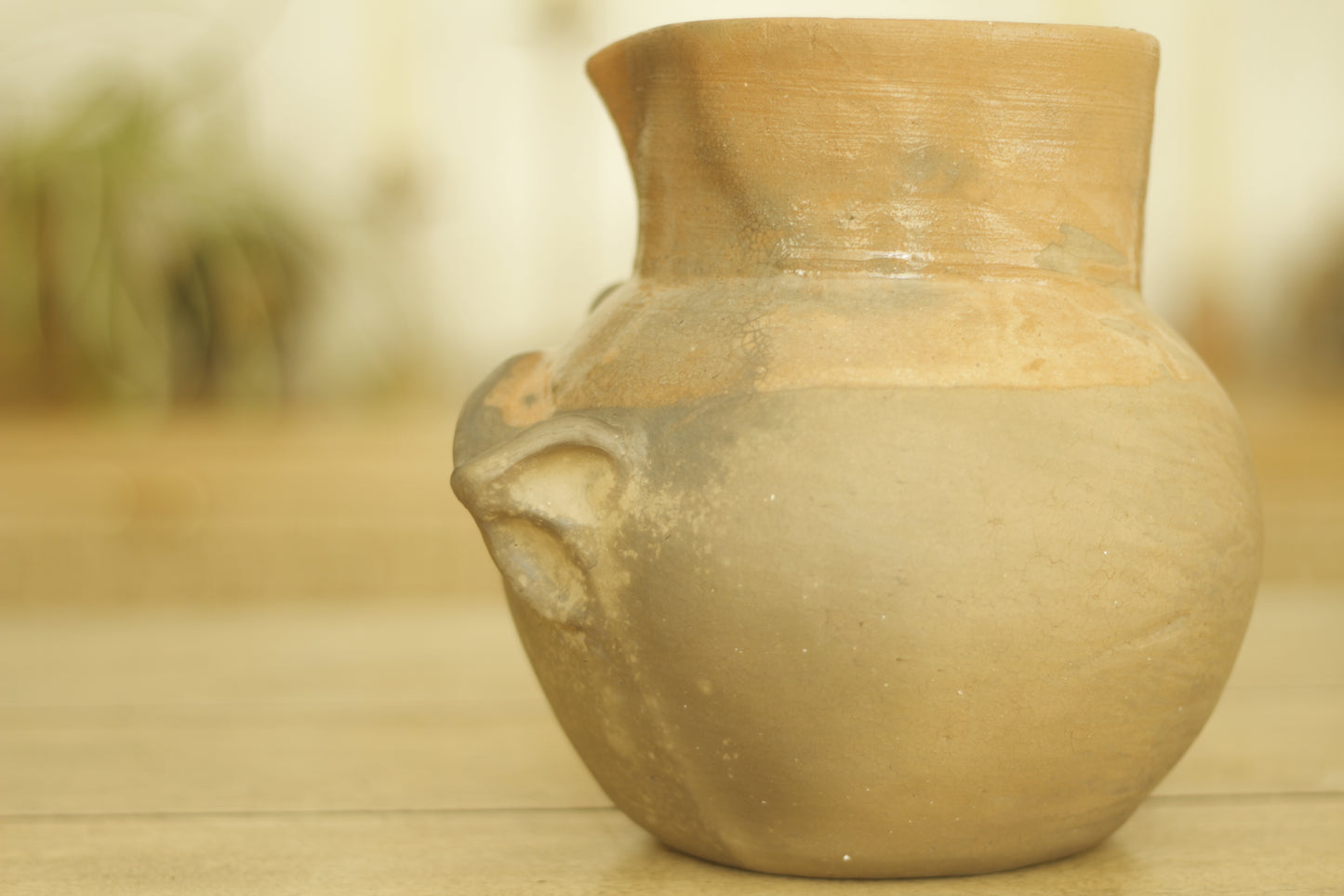 Nose Spouted Vessel | Med