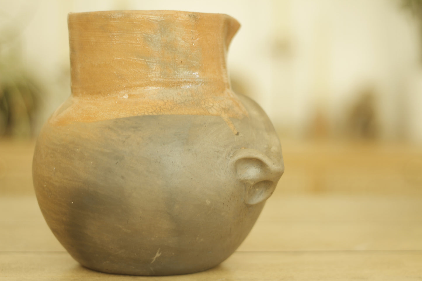 Nose Spouted Vessel | Med
