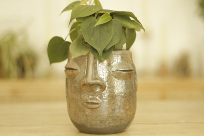 Zapotec Face Planter | Semi-Glazed Small