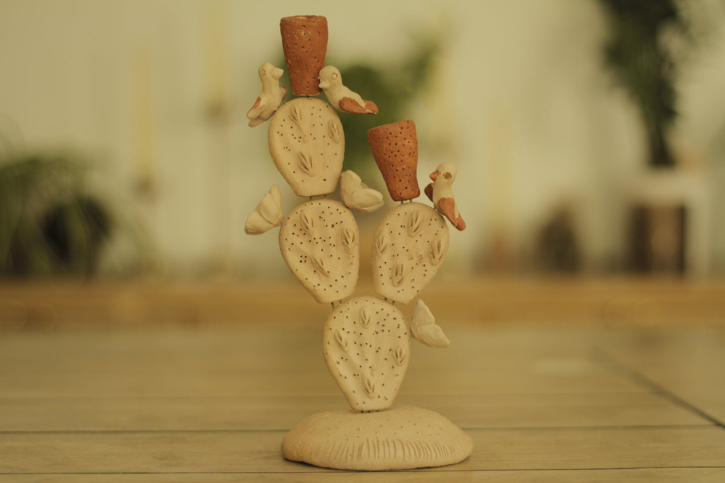 Cactus Holder