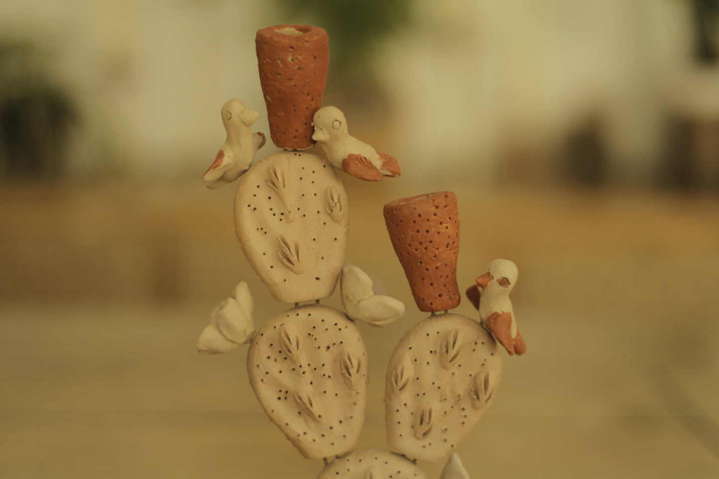 Cactus Holder