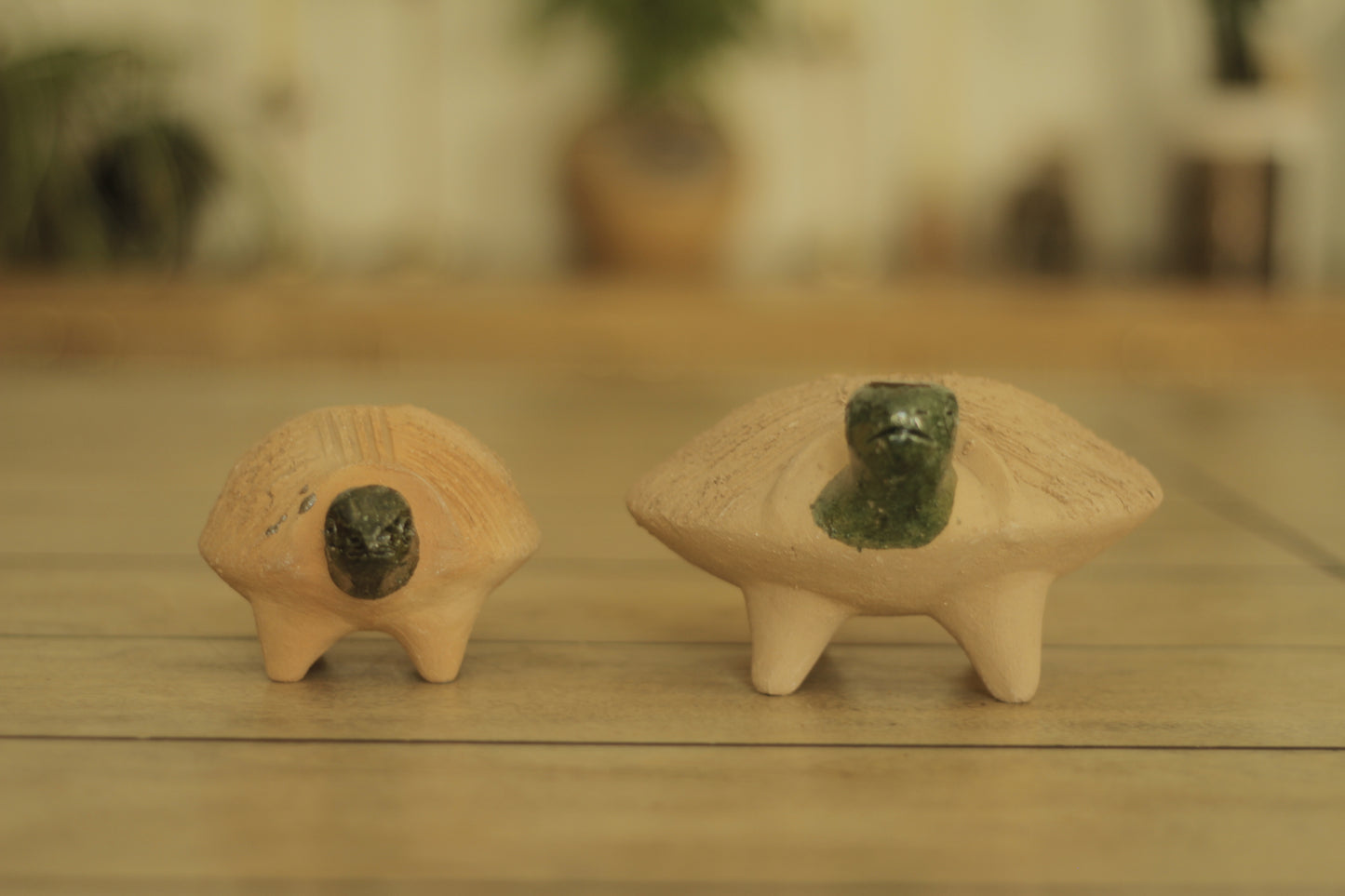 Chia Turtle | Medium