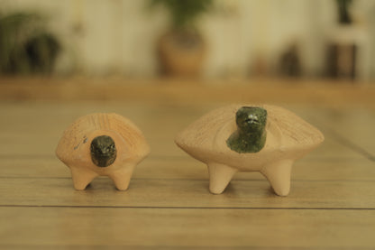 Chia Turtle | Medium