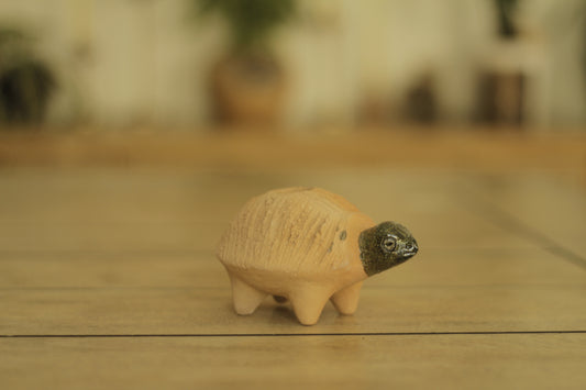 Chia Turtle | Small