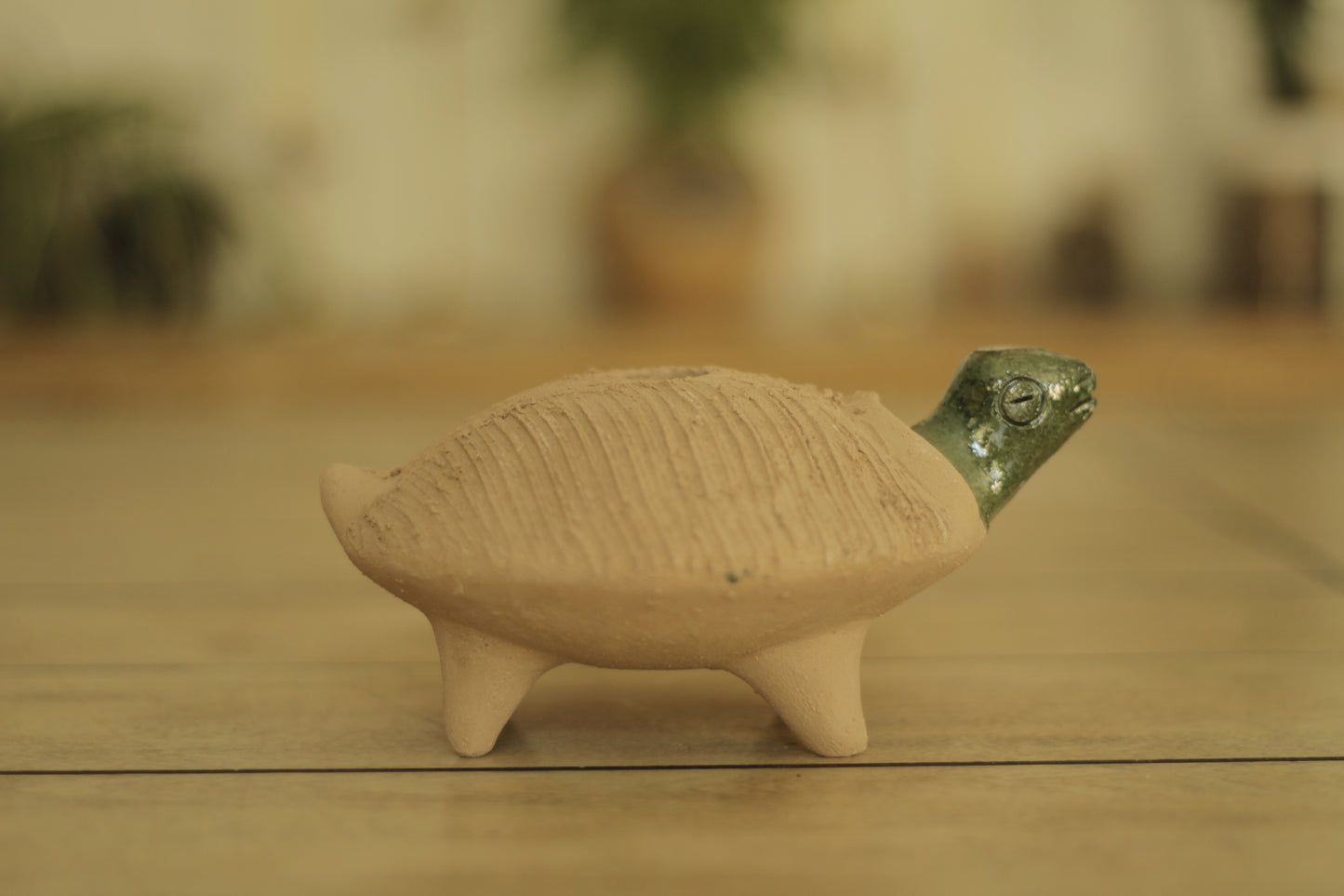 Chia Turtle | Medium