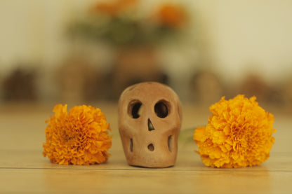 BR Craneo D | Small