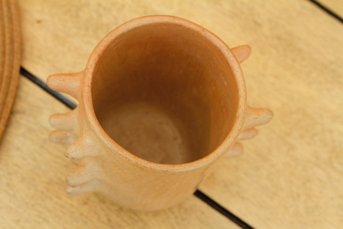 Mixe Pochote Tumbler