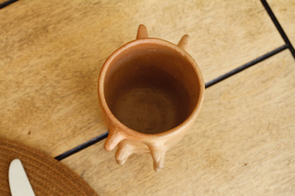 Mixe Pochote Tumbler