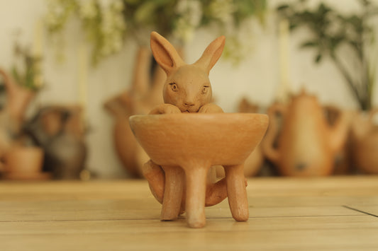 Mixe Hanging Bunny
