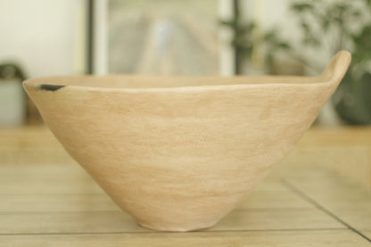 Mixe Machacado Bowls