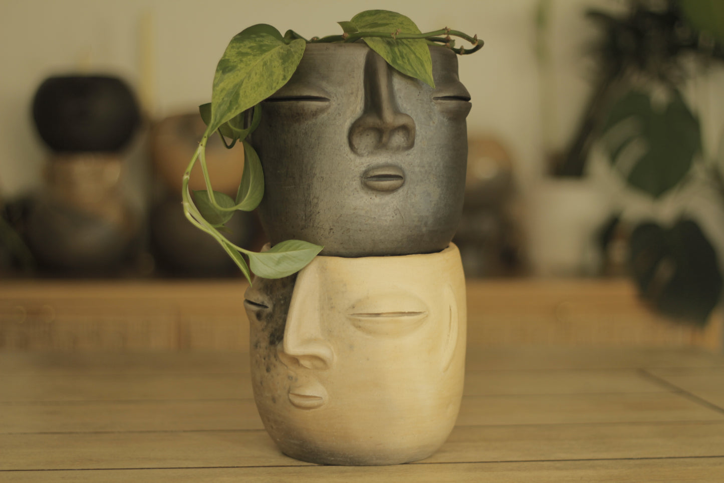 Zapotec Face Planters | Small