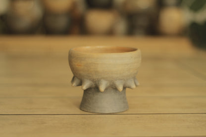 Pochote Small Copalero